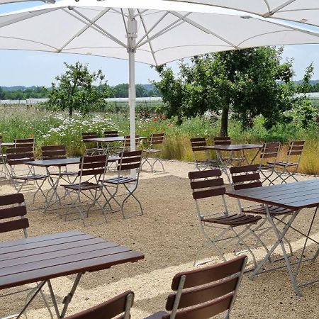 Vorgebirgsblick - Restaurant Biergarten Gaestehaus Bornheim  Eksteriør bilde